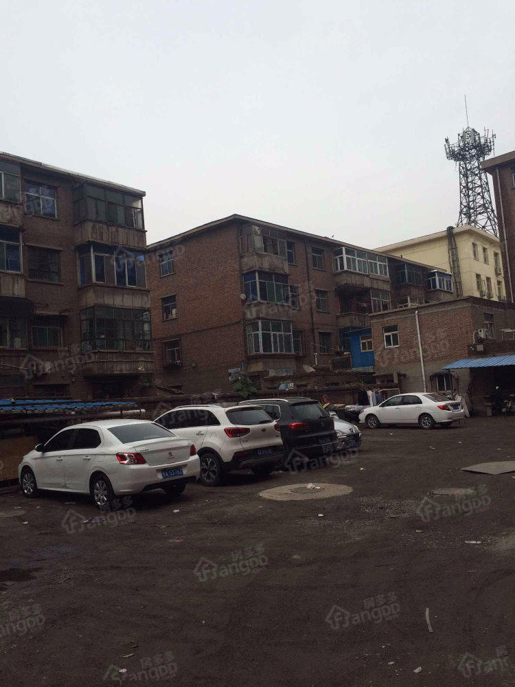 交通局宿舍(朝阳街)小区图片