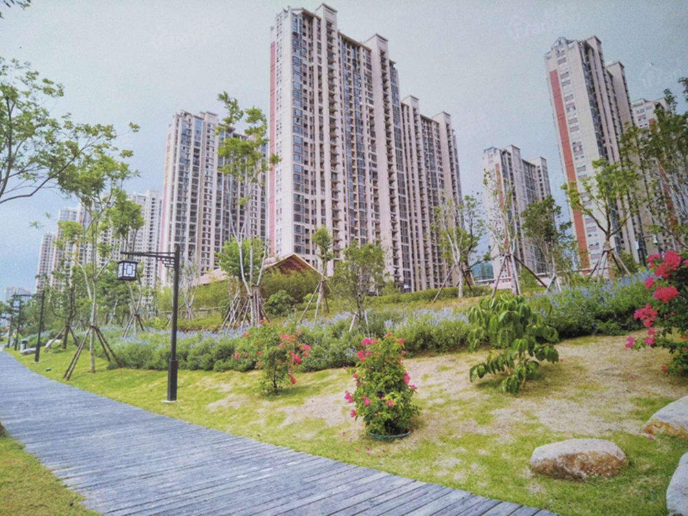 紫金莲园小区图片