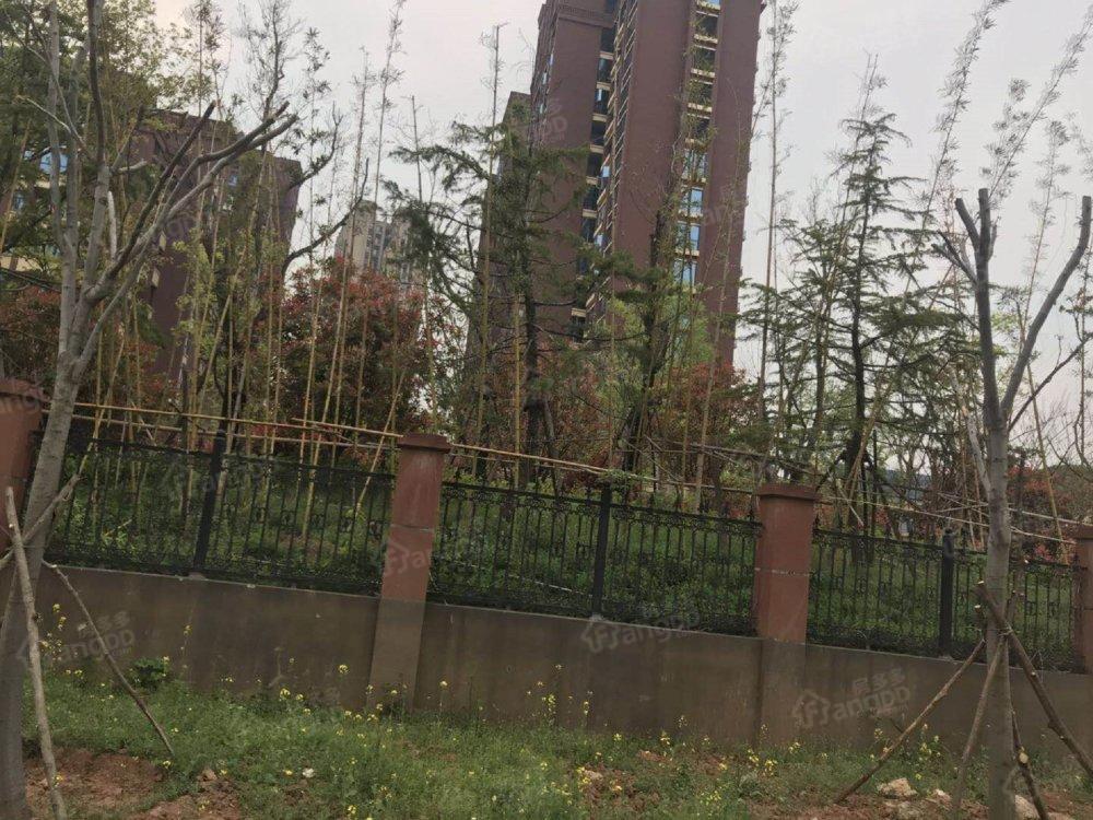 冠景瑞园小区图片
