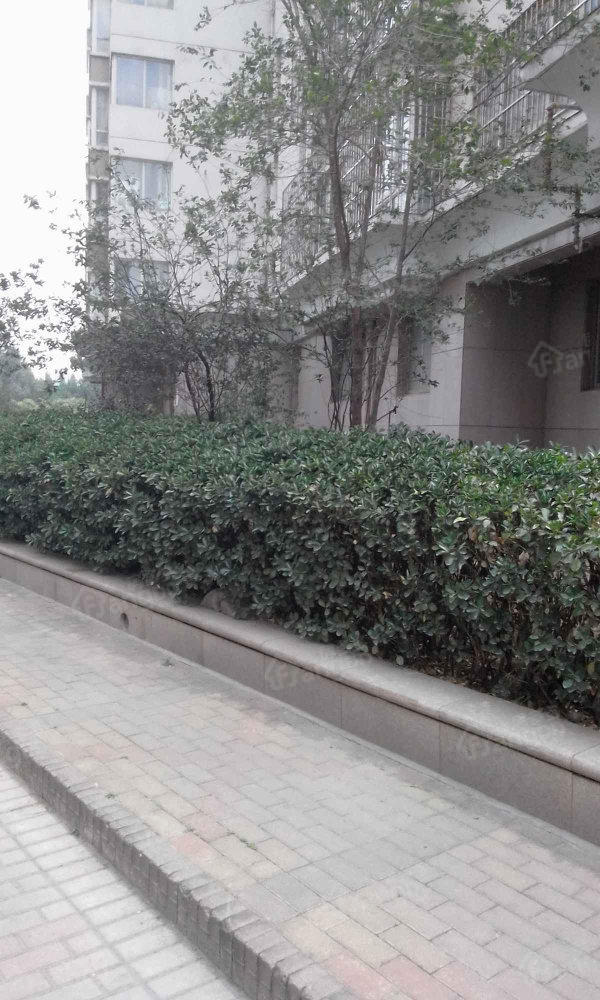 维多利亚城小区图片