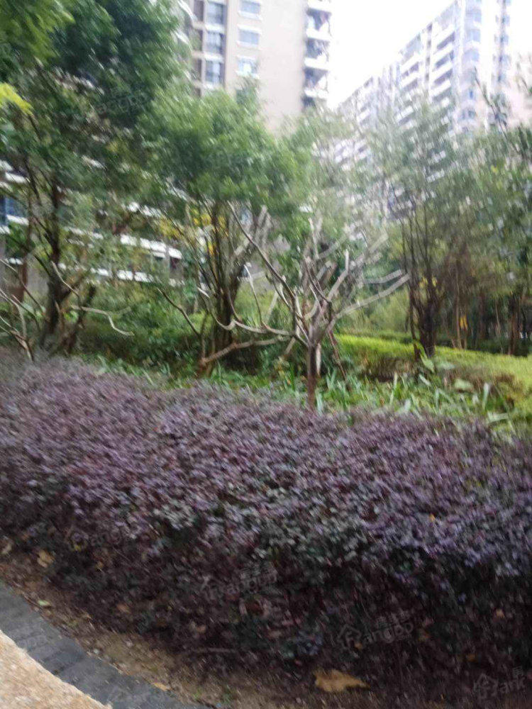 粤惠苑小区图片