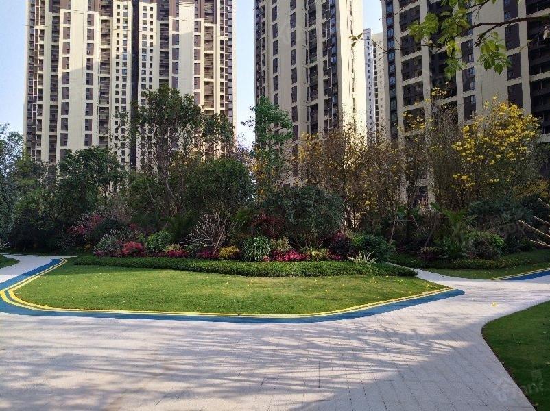 龙湖春江郦城二期小区图片