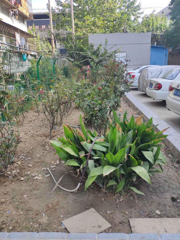建银共建路小区小区图片