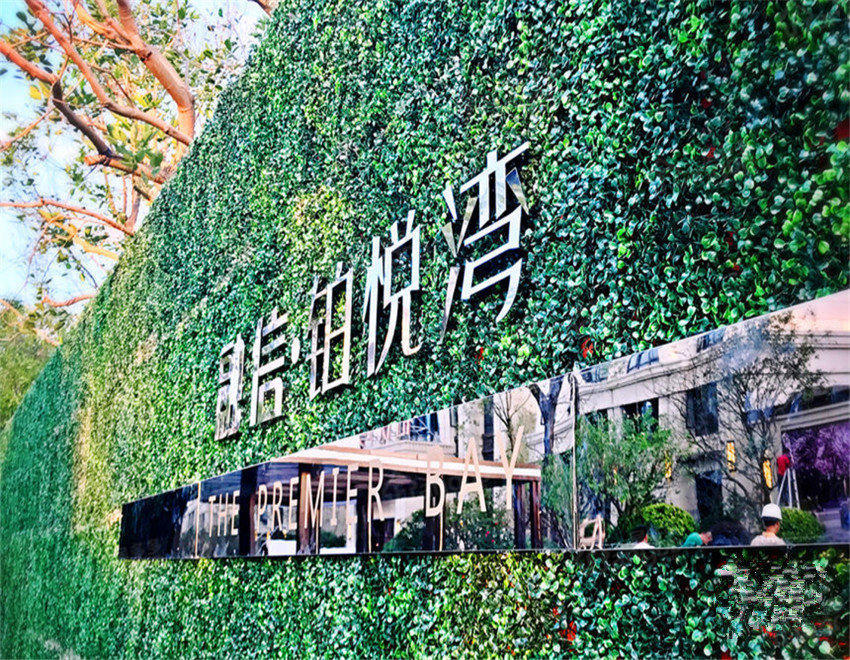 融信·铂悦湾小区图片