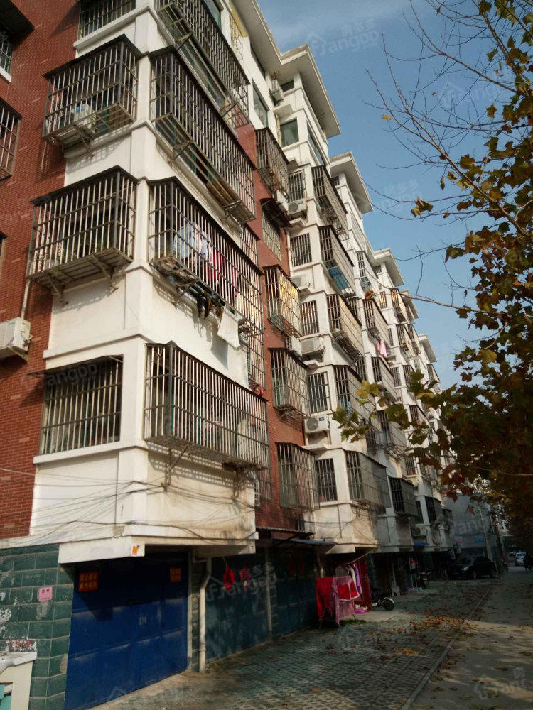 凤翔小区小区图片