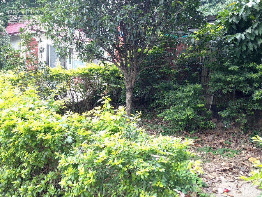 公安局兴宁分局宿舍小区图片