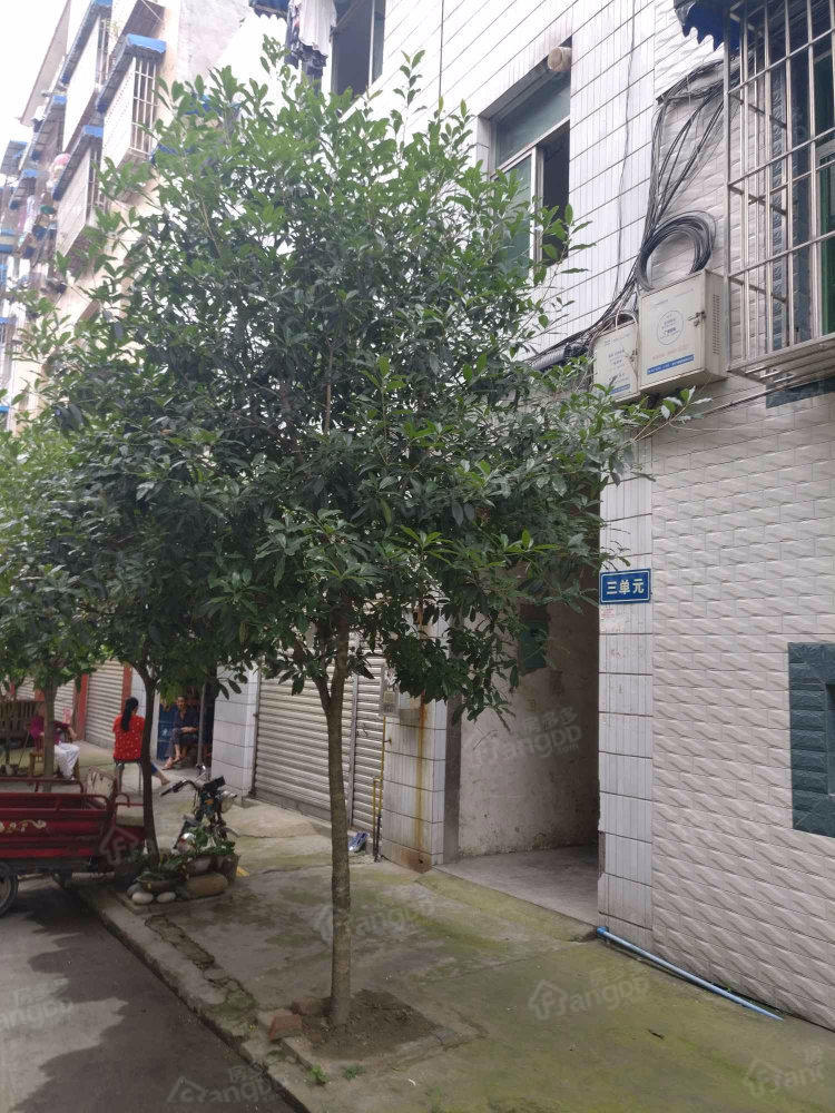 和谐小区(龙泉驿)小区图片