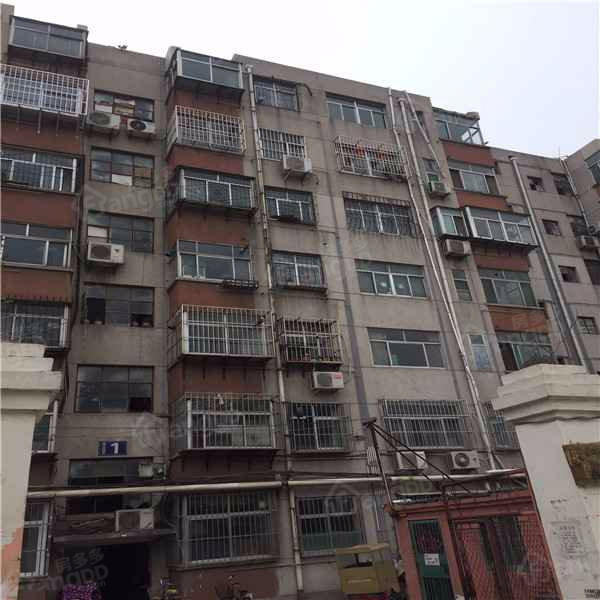 徂徕山林场宿舍图片