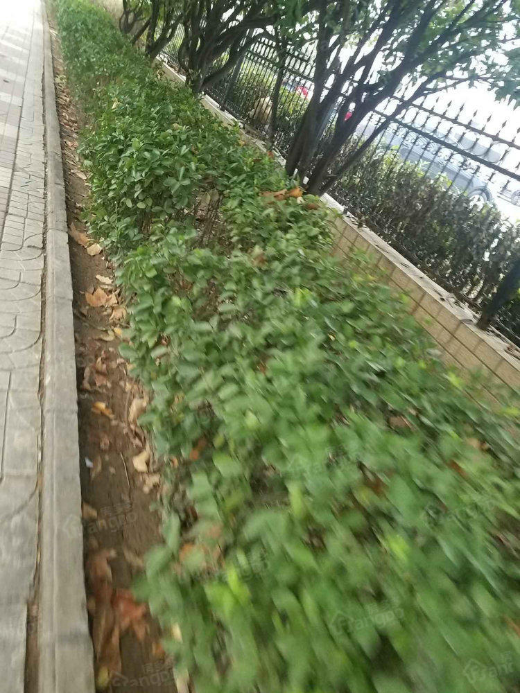 西北水电家属院小区图片