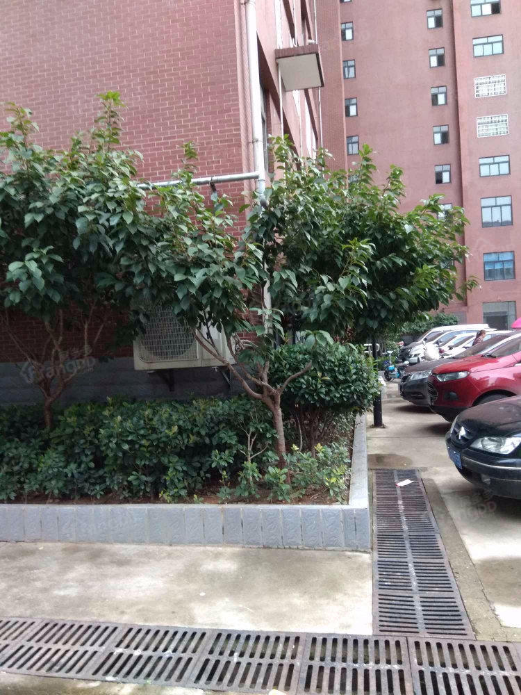 新工大厦小区图片