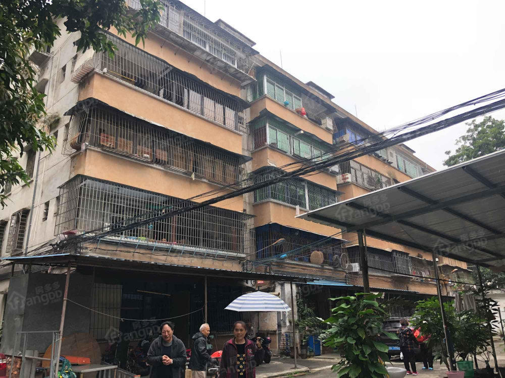 湛江市赤坎区市政工程公司宿舍区小区图片