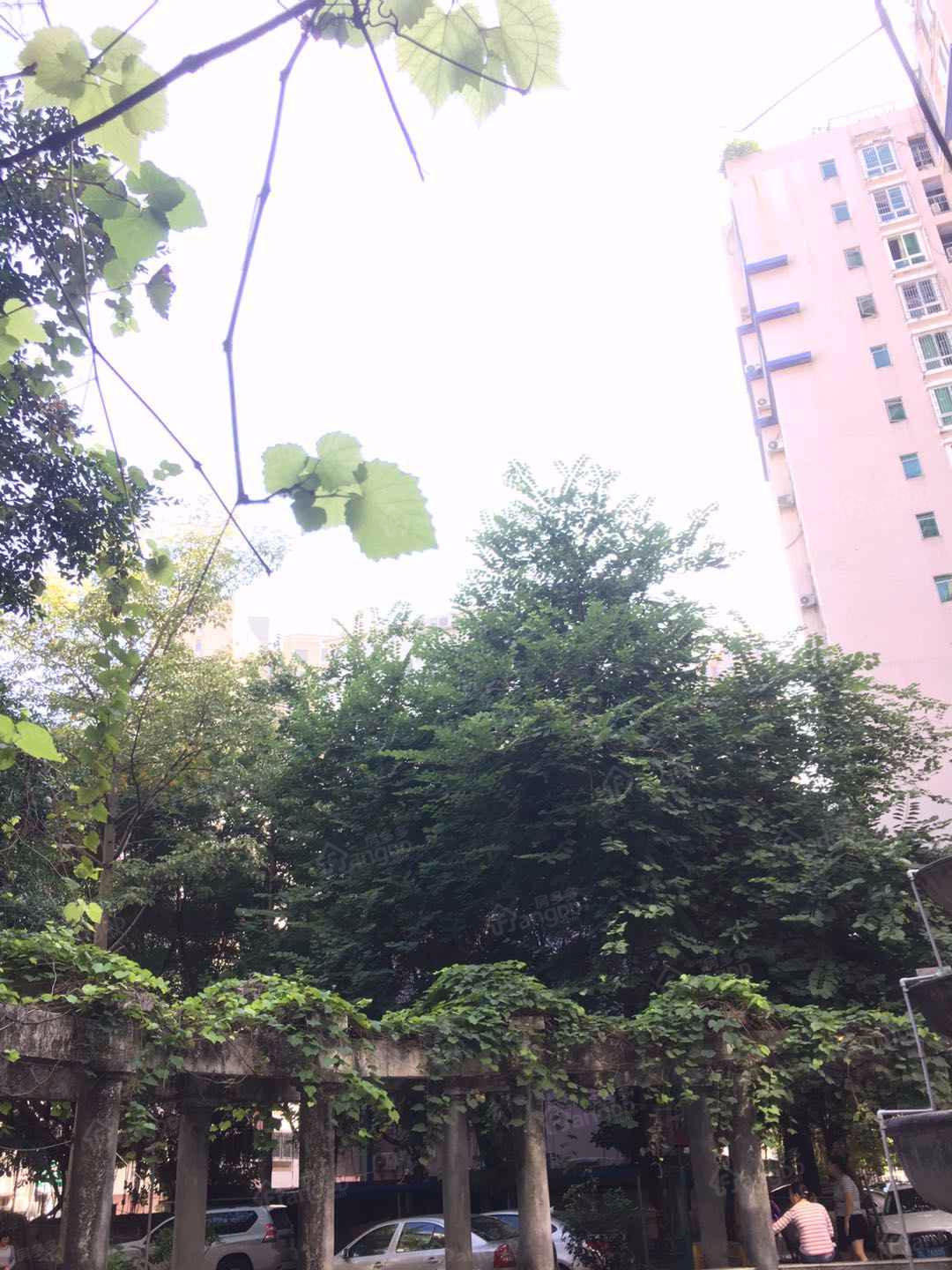 五星聚豪园图片