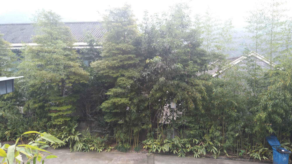 巴渝新居小区图片