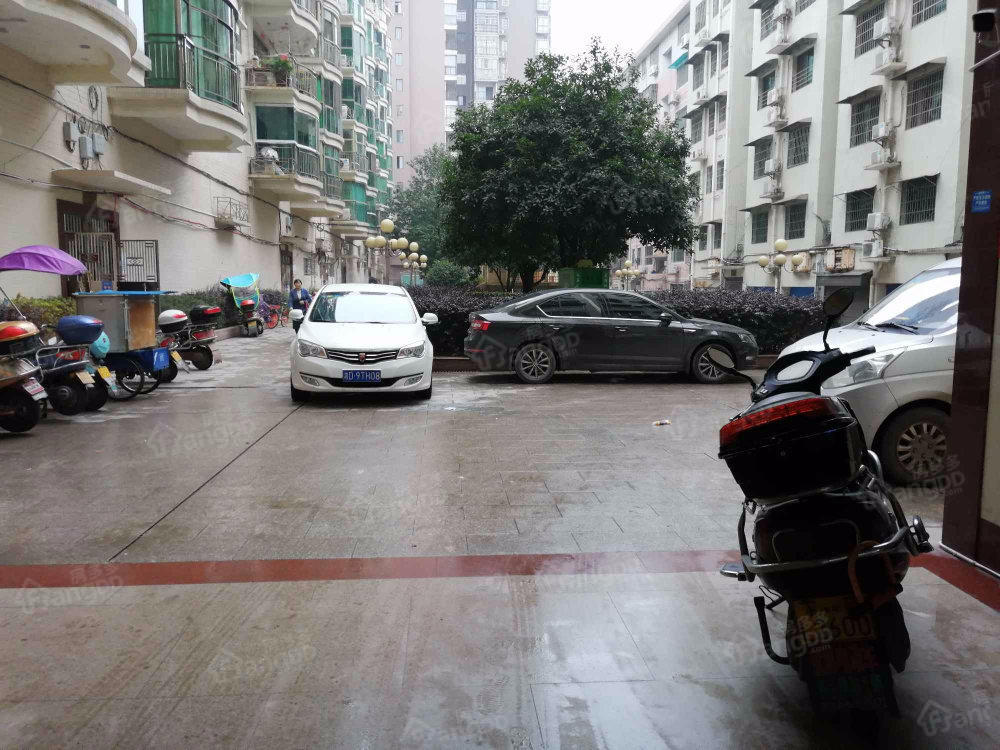 高辉花苑小区图片