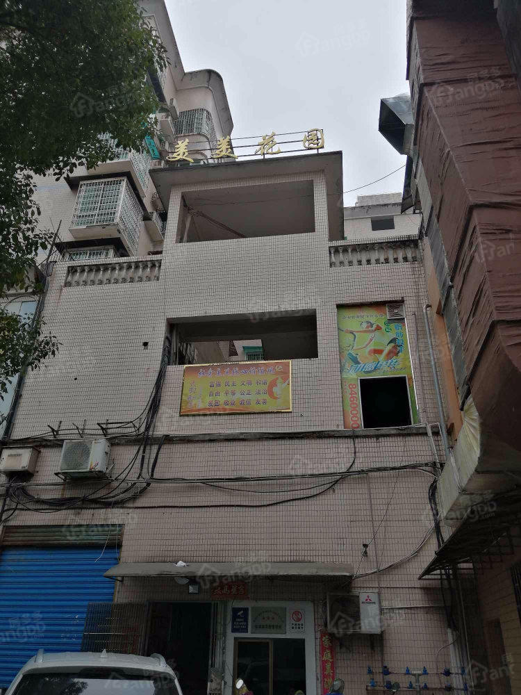 美美花园图片