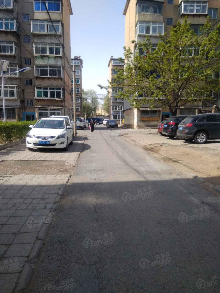 深沟寺十区小区图片
