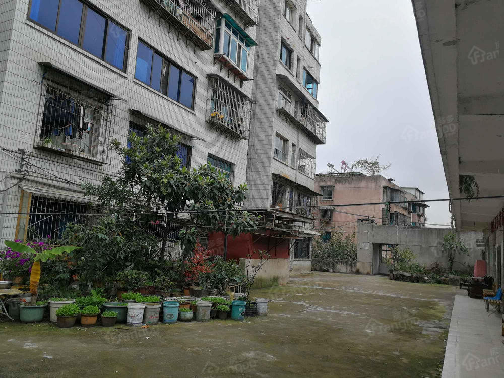 经贸大厦小区图片