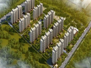 大福·禧临门