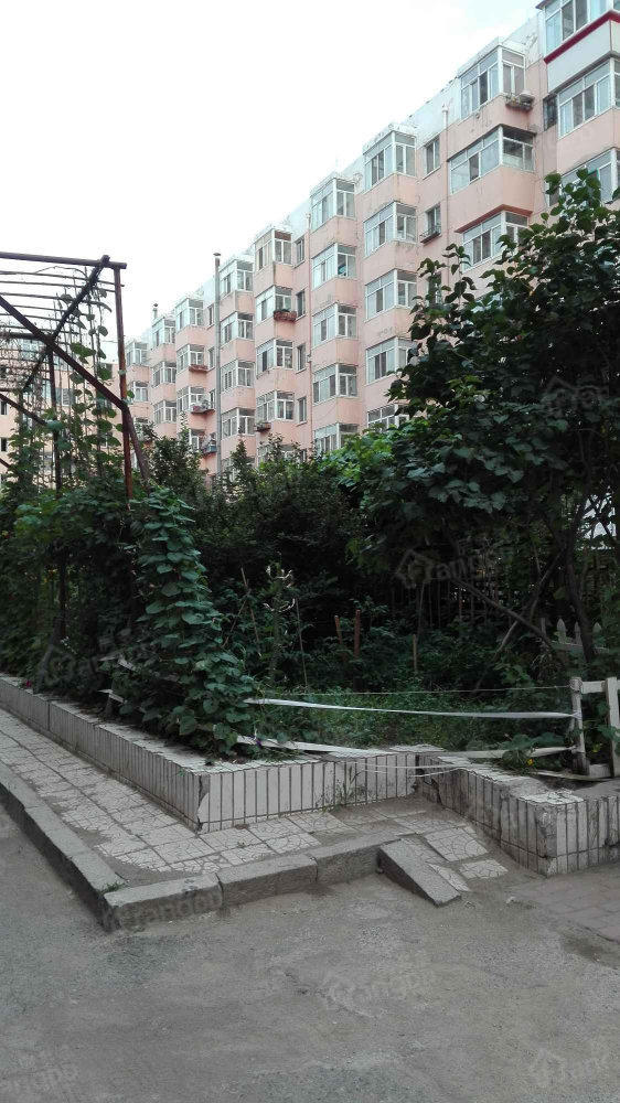 安埠小区北区小区图片