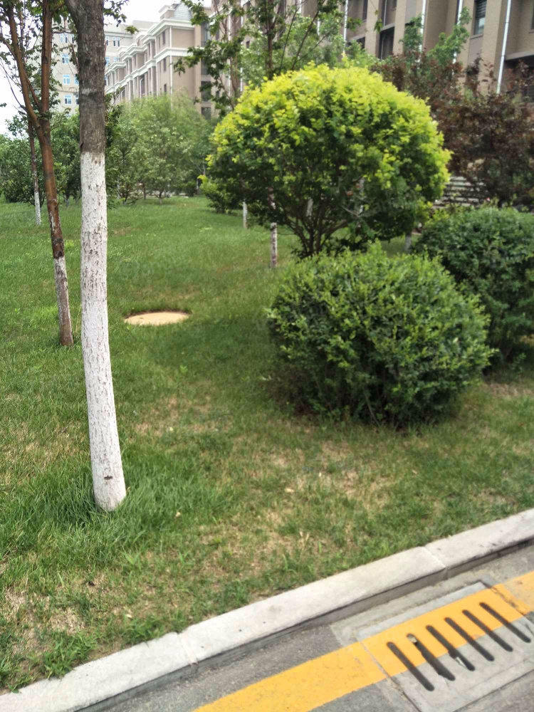 书馨苑小区图片