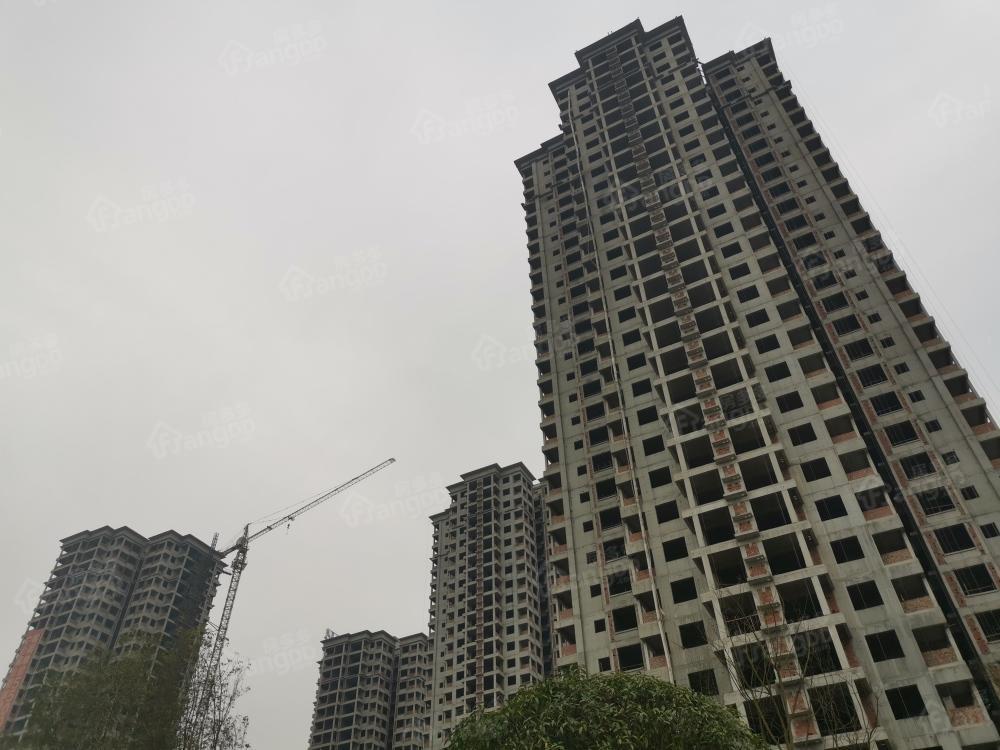 阳光中心城小区图片