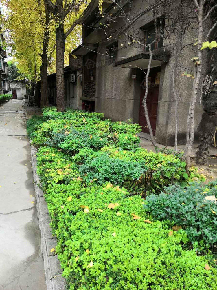 新民街90号小区图片