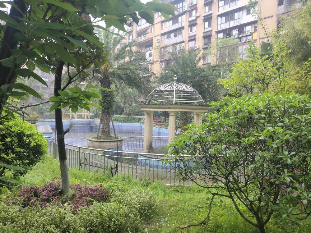 鑫玥酒城一号小区图片