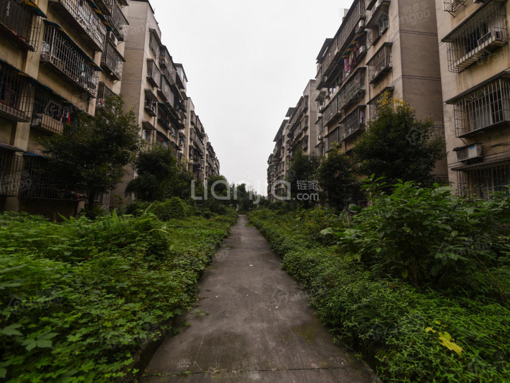 红狮大道27号小区图片