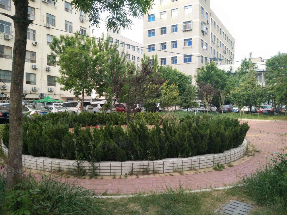 中安大厦图片