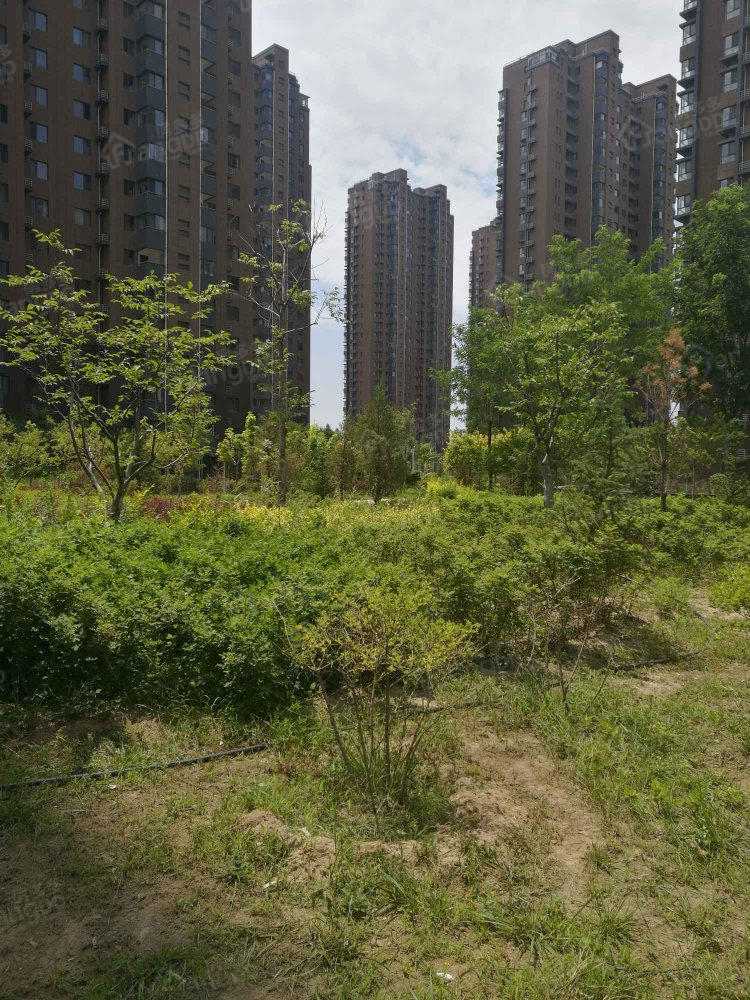 阅海万家G2区小区图片