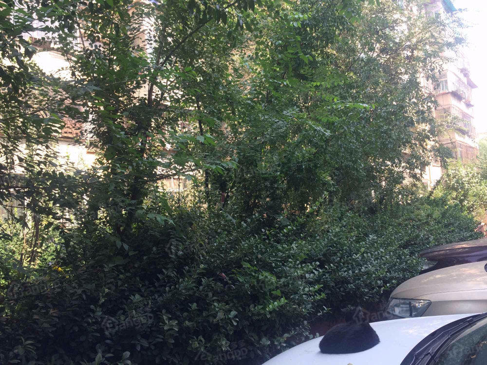 新城房产经营小区图片