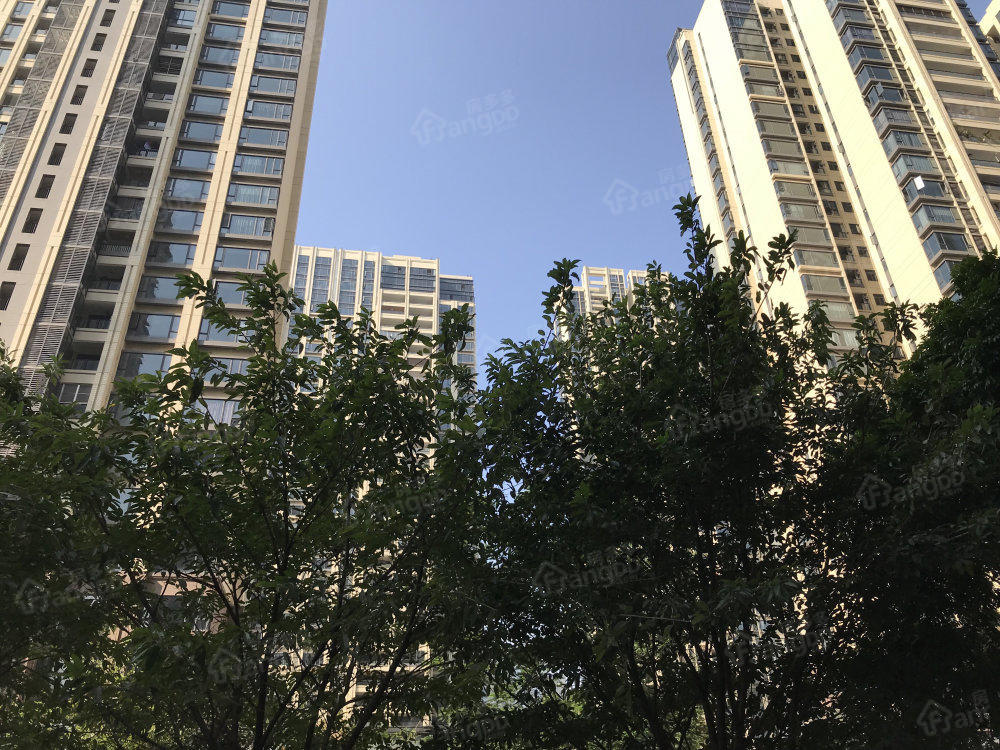 保利中环广场小区图片