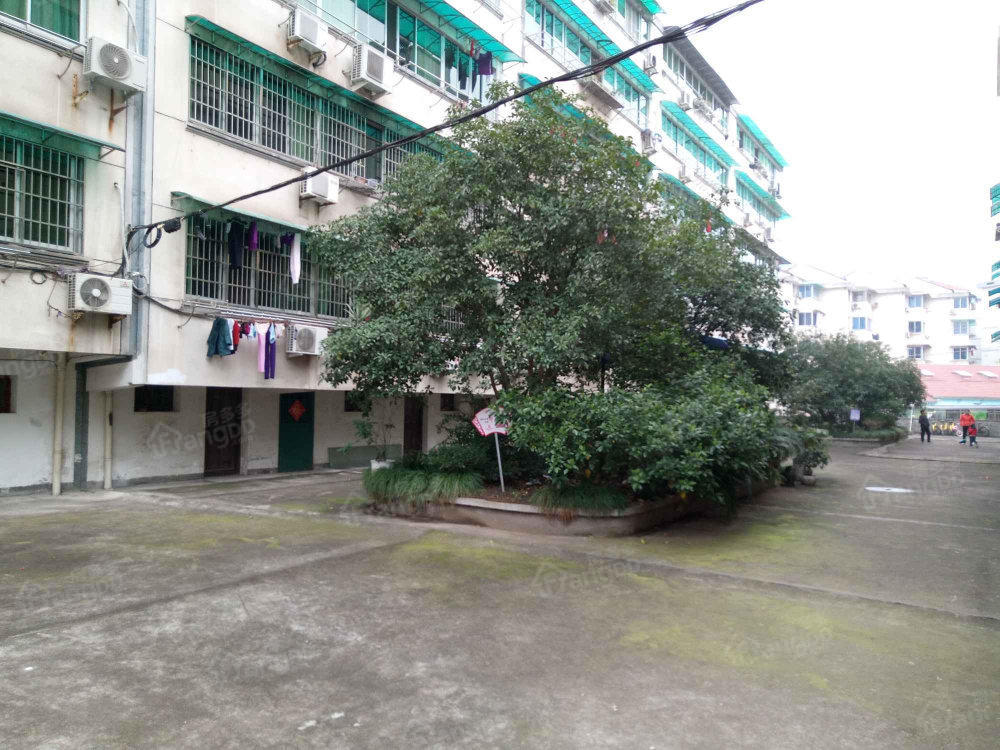 五一路农贸市场住宅楼小区图片
