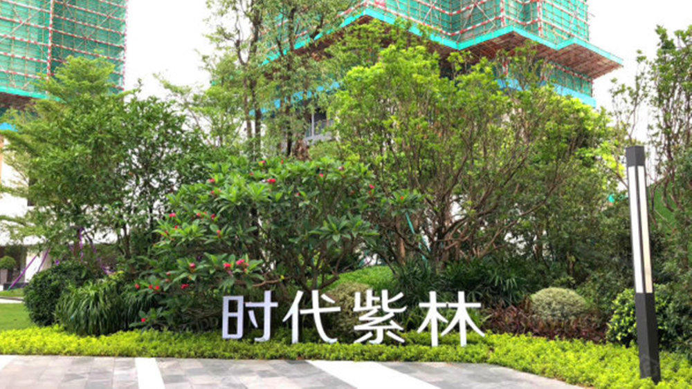时代紫林图片