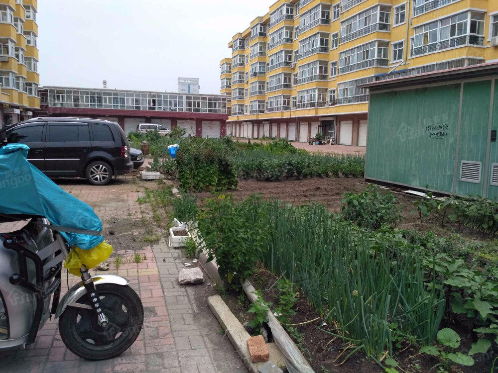 阳光小区(延寿)小区图片