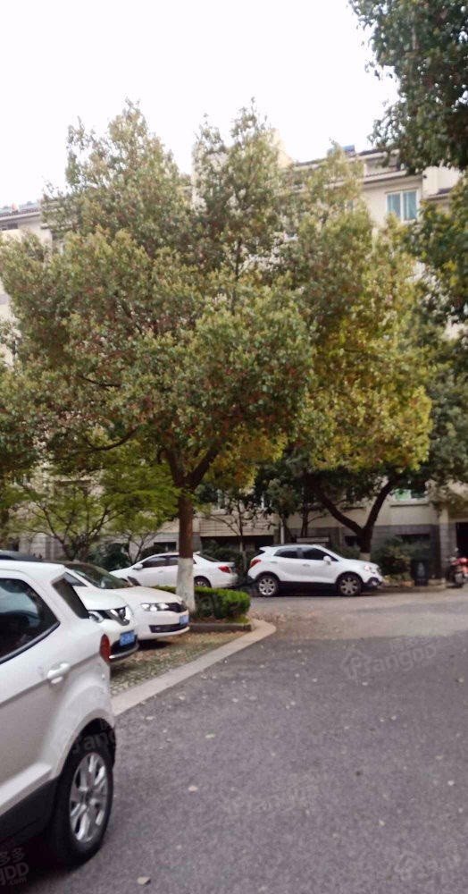 河畔花园小区图片