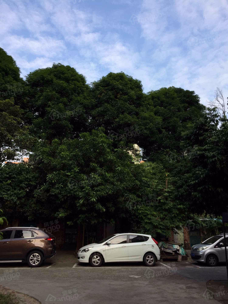 南宁模具中心生活区小区图片