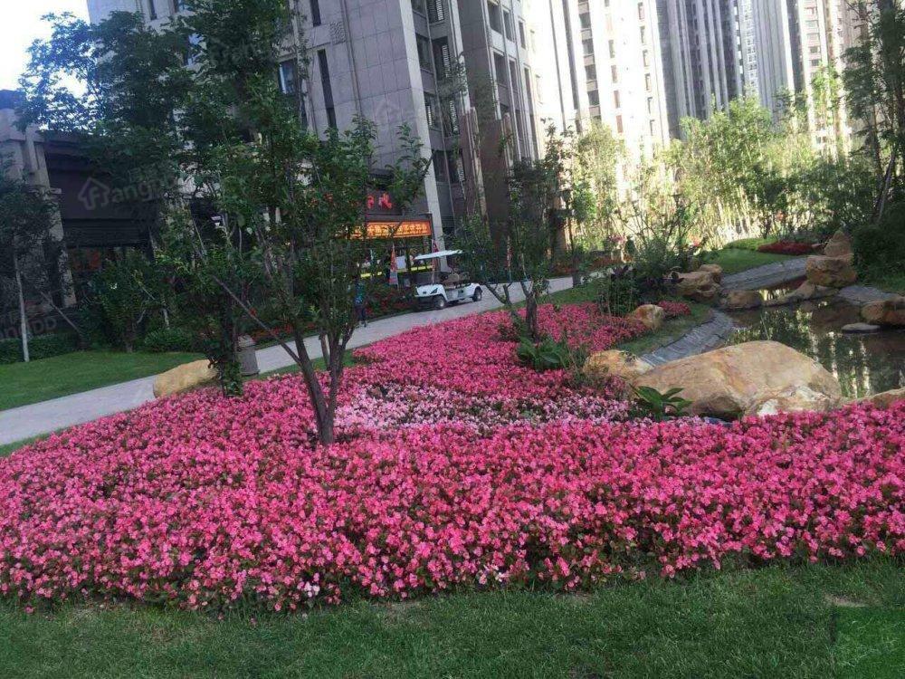 金安美豪国际公寓小区图片