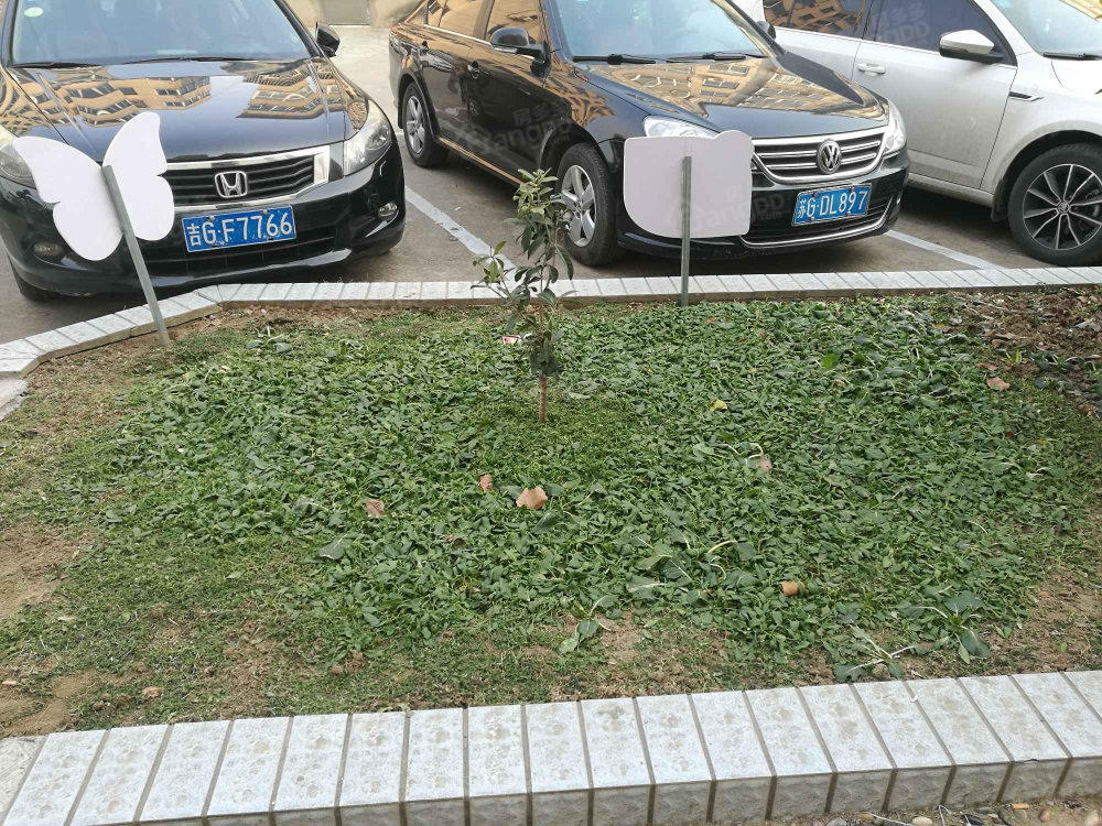 新桥街制药厂宿舍小区图片