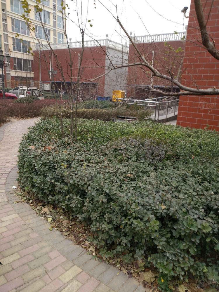 汇博丽景豪庭小区图片