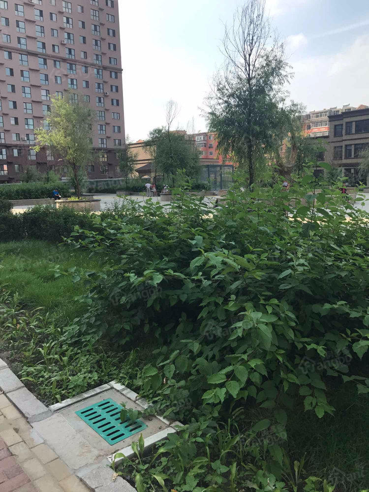 金瑞林城(二期)小区图片