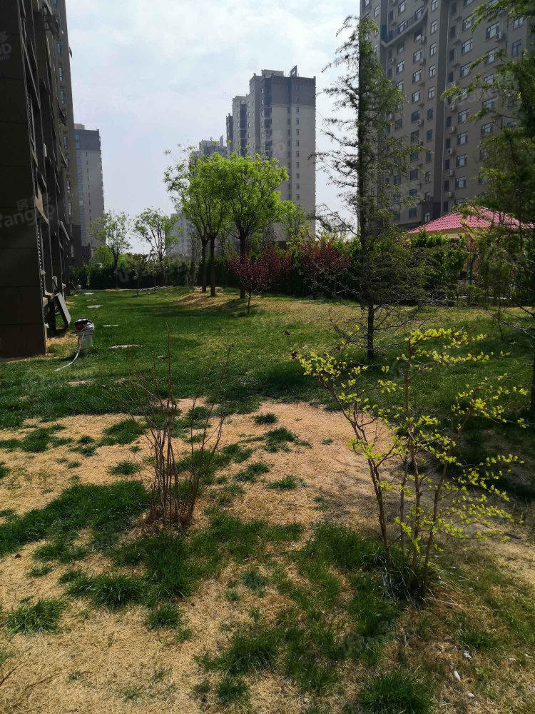 民生凤凰城6号院小区图片