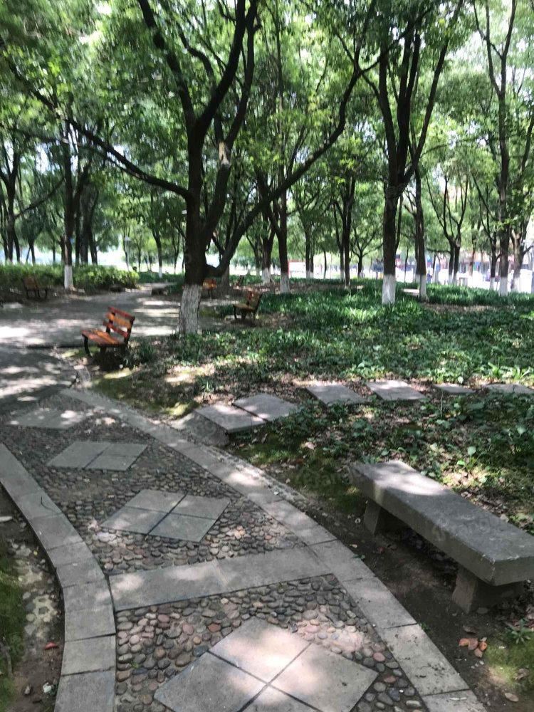 宜都新世纪花园小区图片