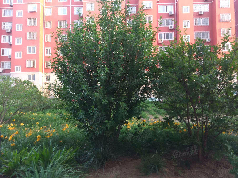 天马新居小区图片