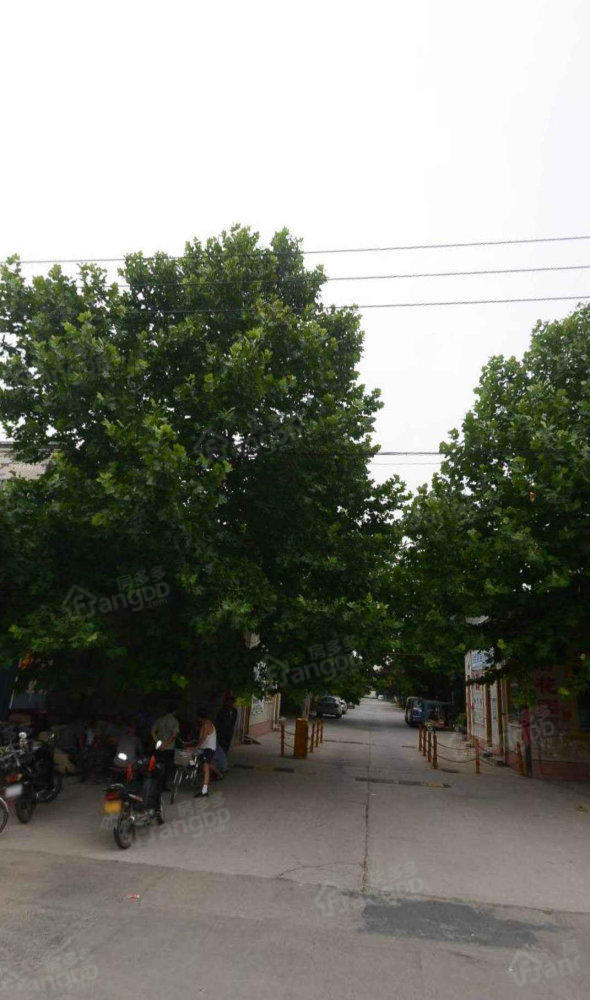 隆府花园小区图片