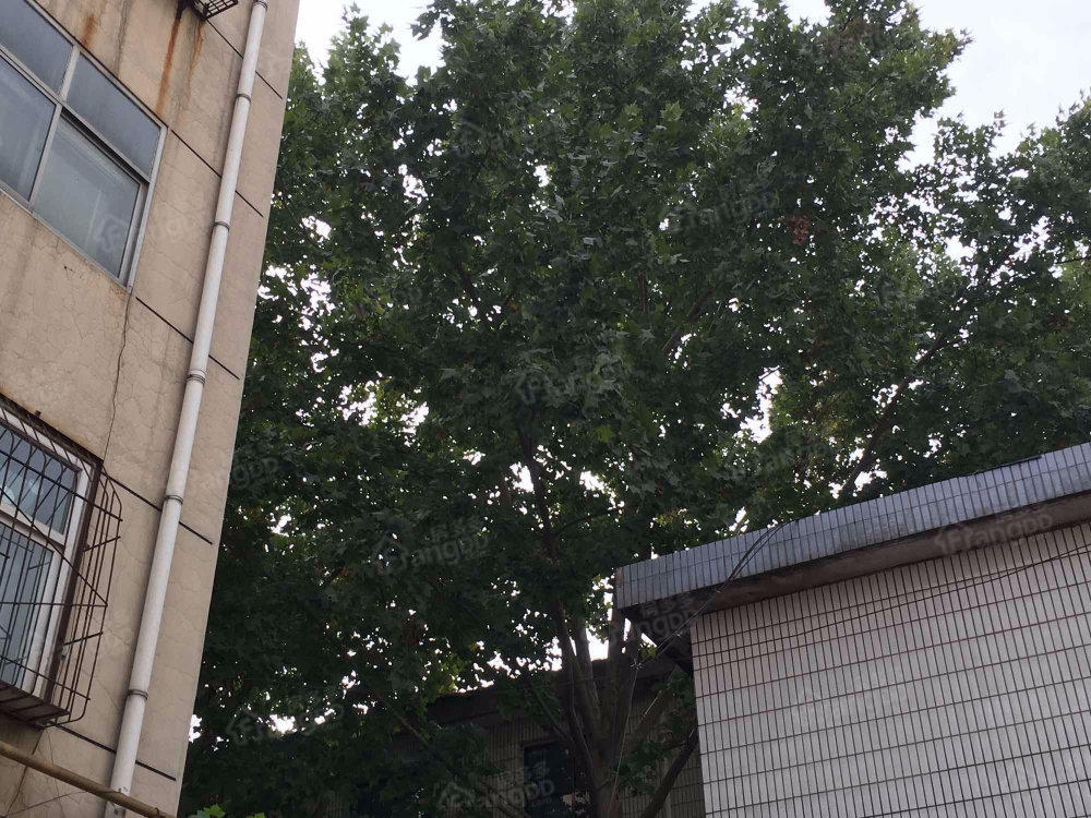 四明建鹏小区小区图片