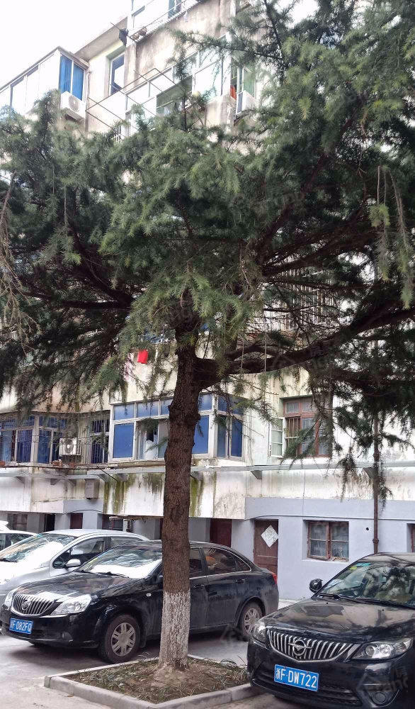 紫藤园小区图片