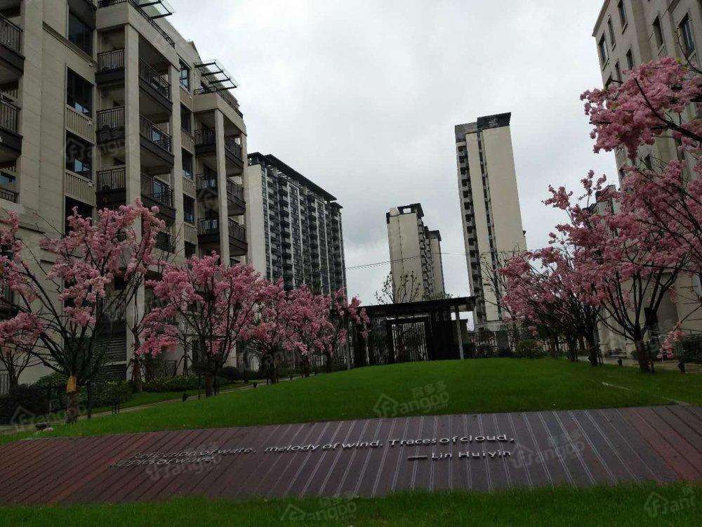 卓越维港小区图片