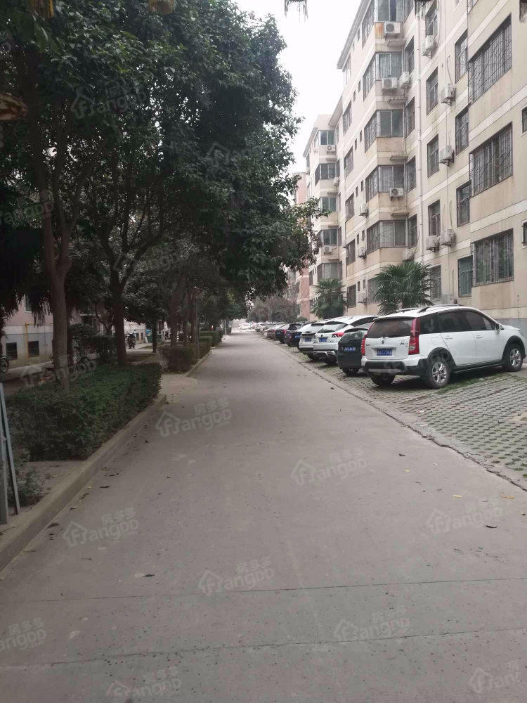 银龙小区小区图片