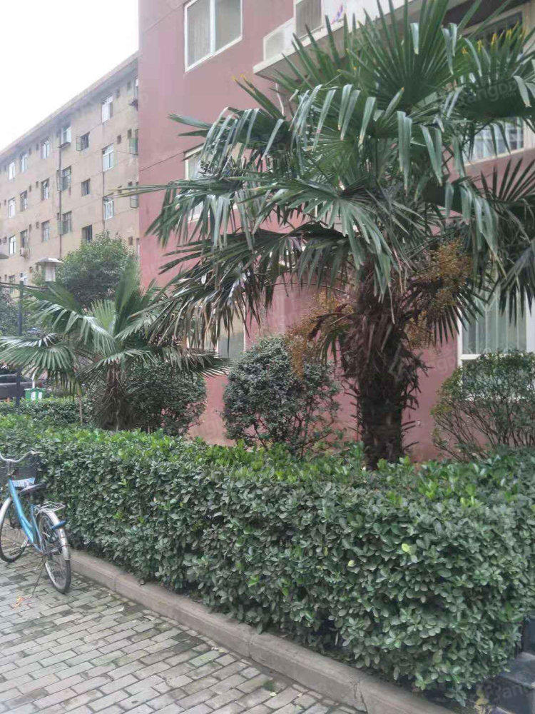 中宏星苑图片